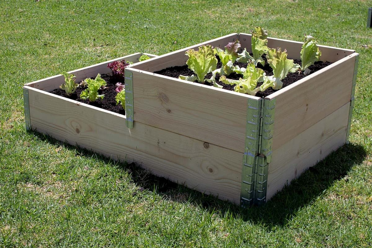 Moestuinbak Medium 60x80x20 FSC, foto 2 van 5