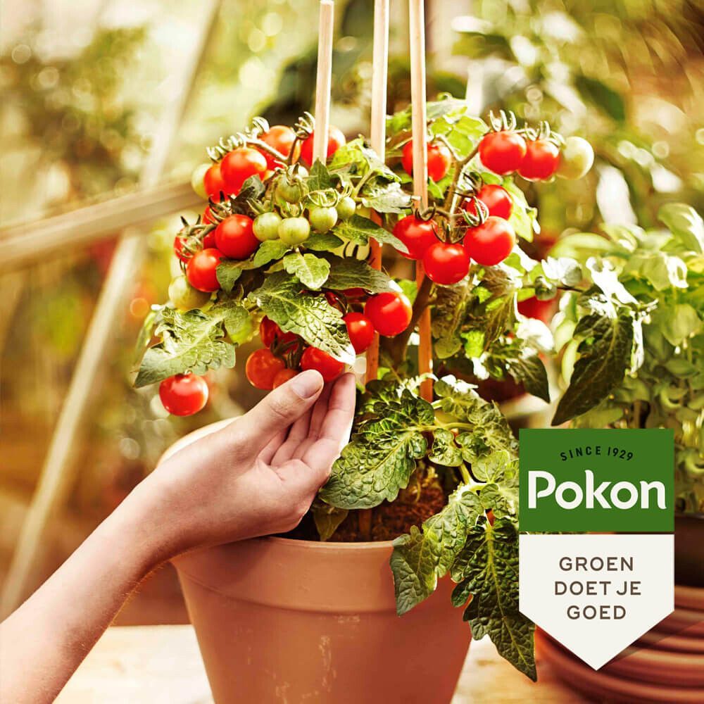 Pokon bio MPS RHP moestuin grond 40 liter, foto 2 van 4