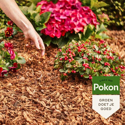Pokon kokos bodembedekker zak 50L, foto 2 van 3