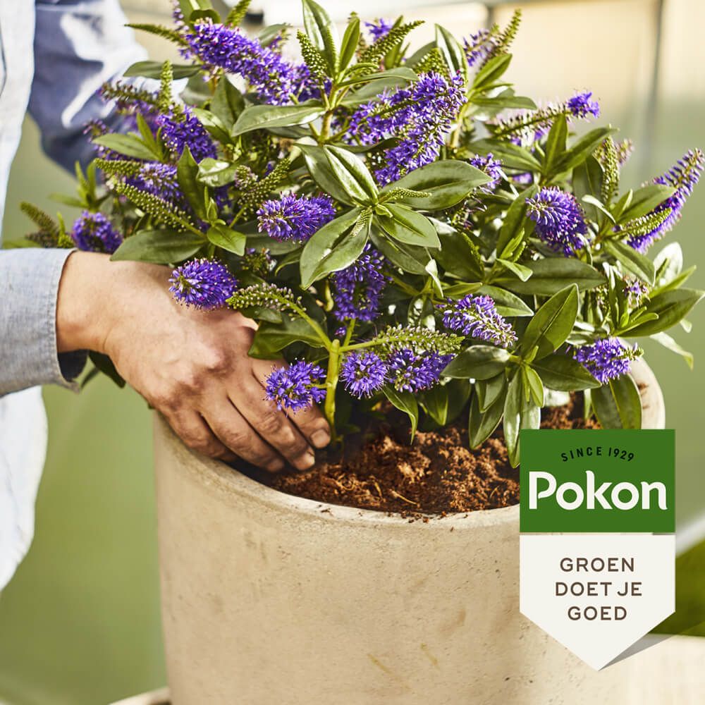 Pallet Pokon RHP kwekers potgrond 63x40L (2520L), foto 5 van 5