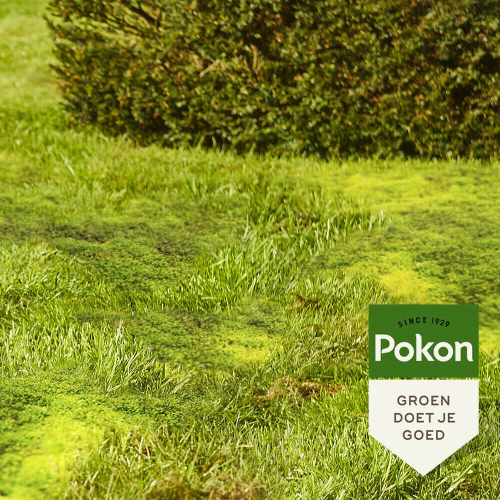 Pokon mos Weg! 100m2, foto 4 van 4