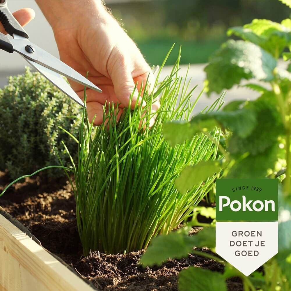 Pokon bio kruiden mest 1kg, foto 4 van 4