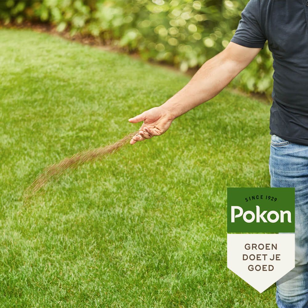 Pokon bio gazonmest 2kg voor 30m2, foto 4 van 5