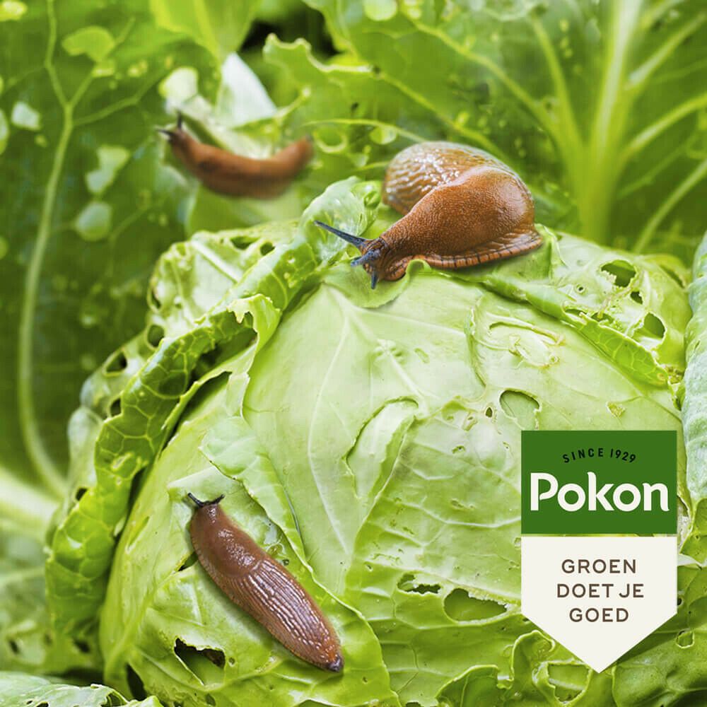 Pokon bio tegen slakken korrels 225gr, foto 4 van 5