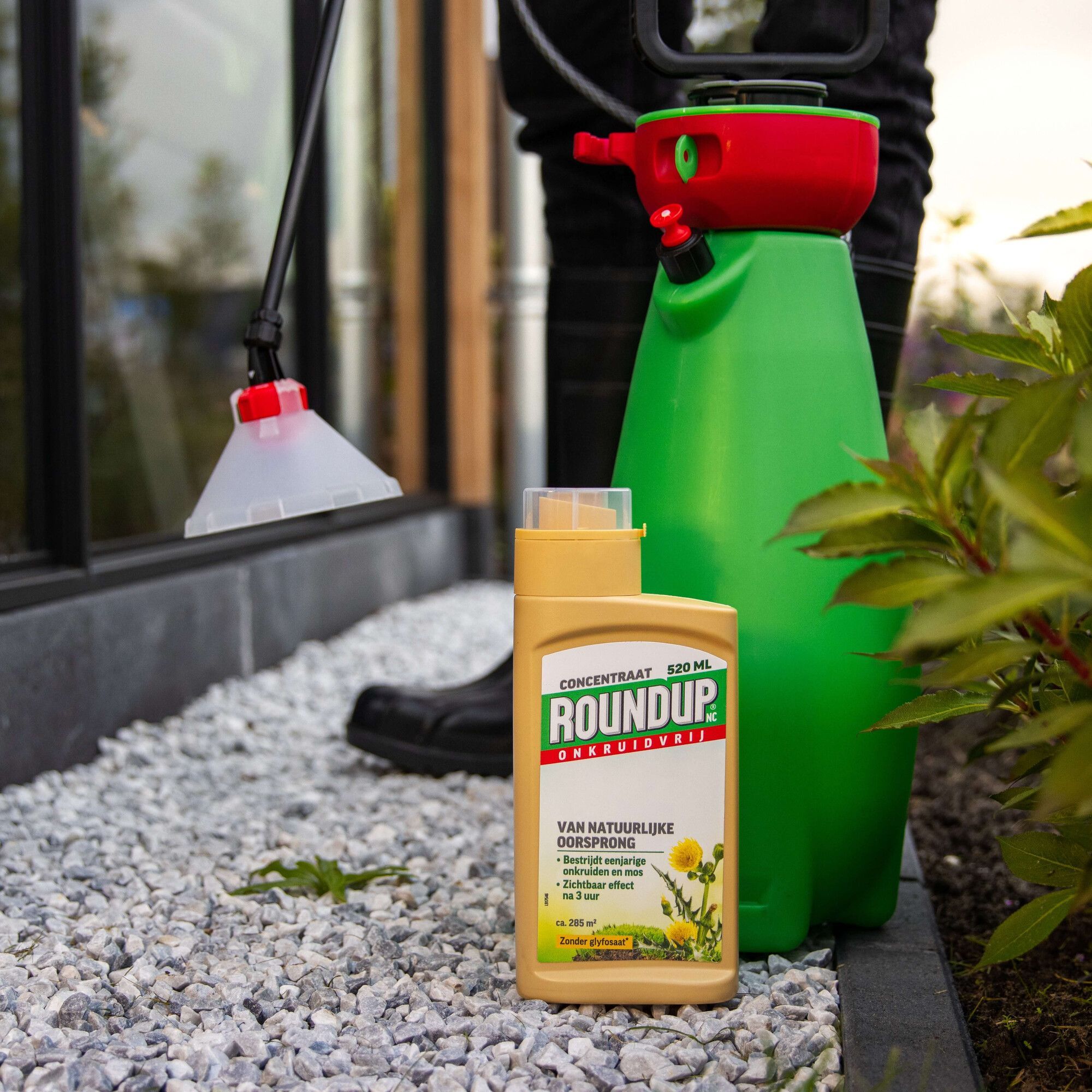 ROUNDUP® natuurlijk onkruidvrij concentraat 520ml, foto 3 van 4