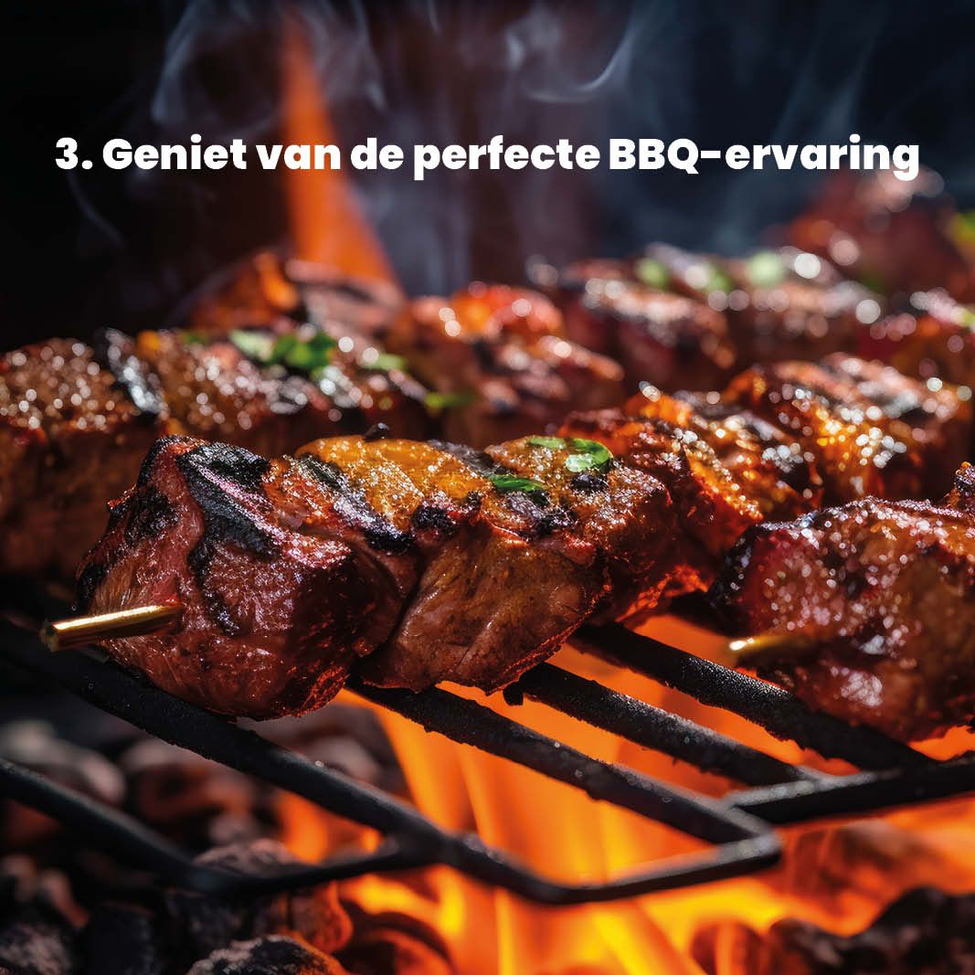 BBQ starter kit, foto 4 van 4