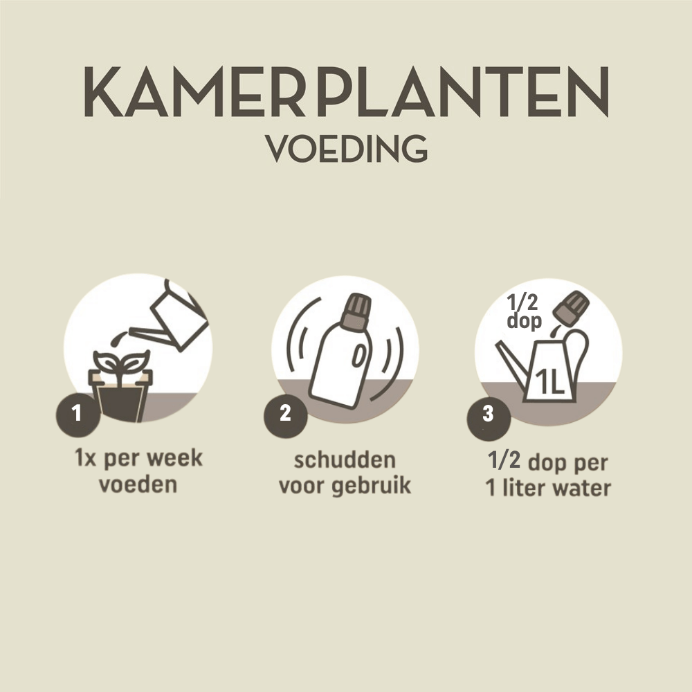 Pokon kamerplanten voeding 500ml, foto 4 van 5