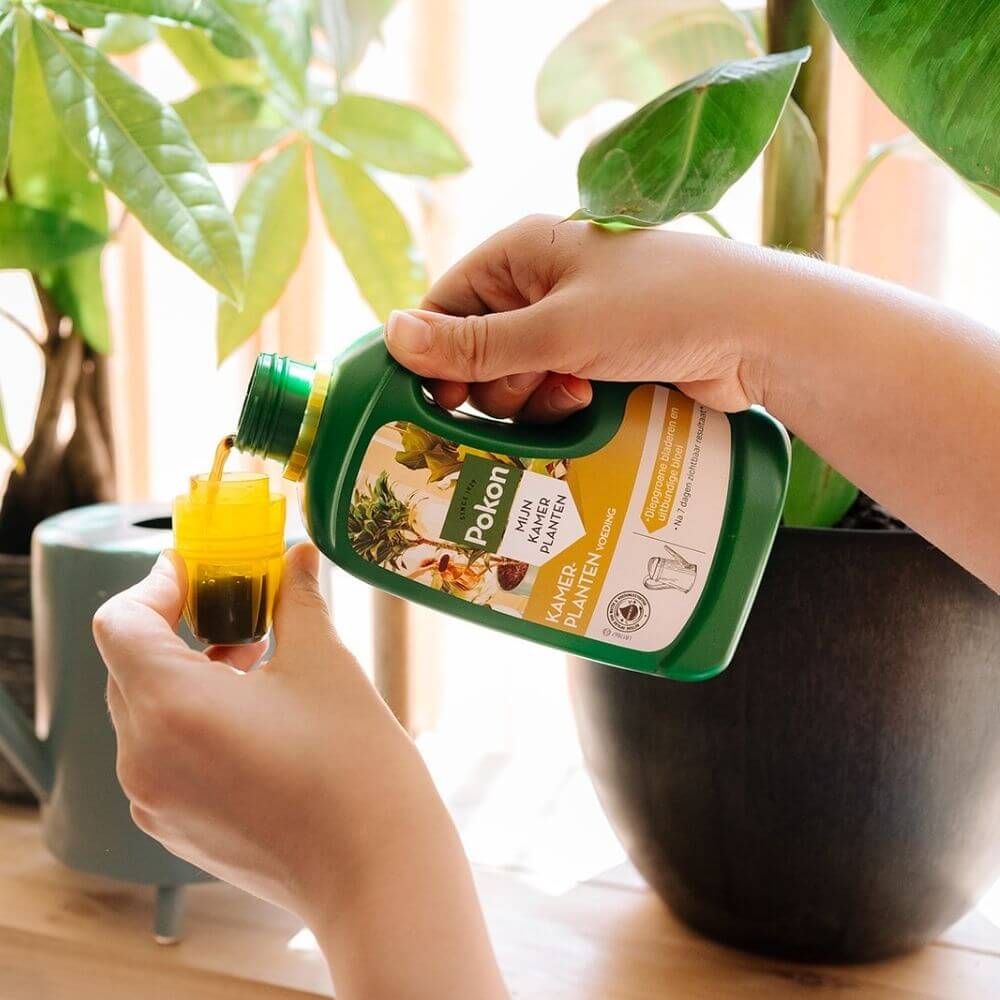 Pokon kamerplanten voeding 500ml, foto 5 van 5