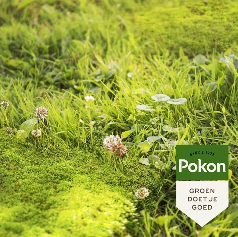 Pokon mos en onkruid Weg 50m2 (3 in 1), foto 3 van 3