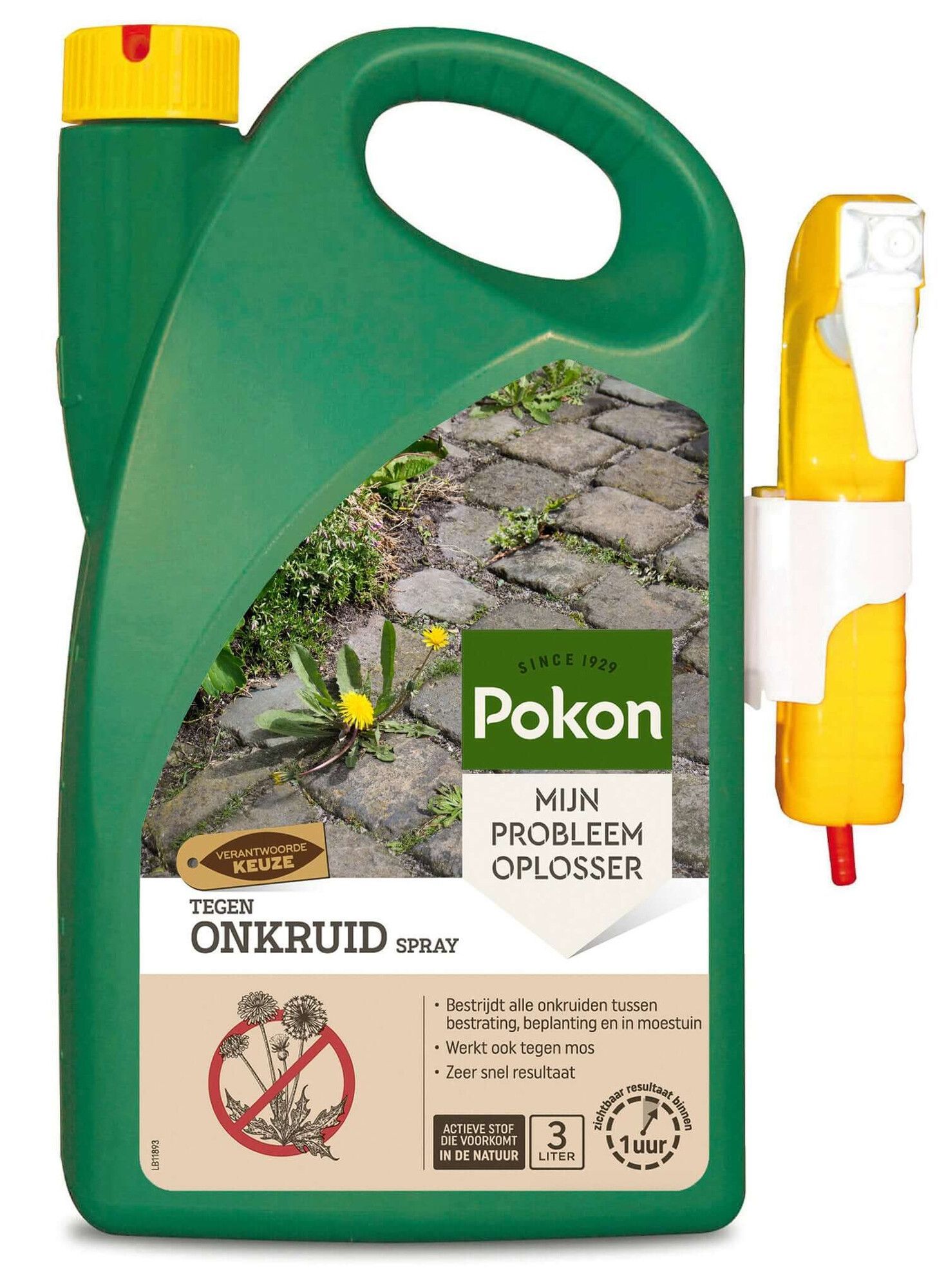 Pokon tegen onkruid spray 3L